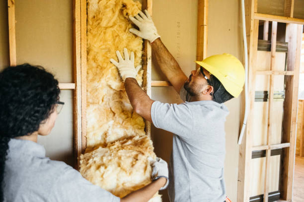 Best Insulation Repair Services  in Wayne, PA